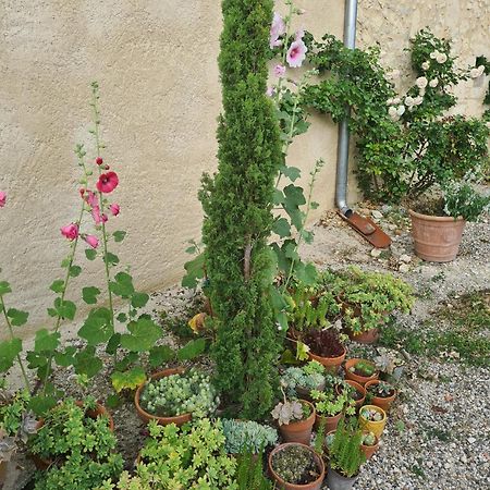 Charmant Logement A La Campagne Gazaupouy Exteriör bild